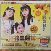.4蝶vcd蝶片 梅花三姐妹 秋菊淚 閩南語老歌 VCD唱片刻錄版兒歌 盒裝 電影 電視劇