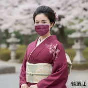 益佳安健康管理顧問 【臺灣製造】格安德鶴頂紅色口罩50入/盒