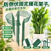 台灣發貨📣免運🔥防倒伏固定護花架子 金屬材質花支柱金錢樹龜背竹天堂鳥植物架 支撐架定型 鐵藝支架 L6TQ