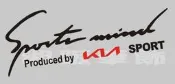 【湘阪車飾】KIA 起亞 燈眉貼 大燈貼 引擎蓋貼 Morning Euro Star Sportage PICANTO