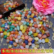 【新品特惠】🔥南京雨花石五彩石多肉花盆鋪麵水培石銅錢草魚缸鵝卵小石頭子造景⭐ CCYQ XDPQ