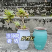 現貨❤️高盆系列 老樁高盆[Love ling 手作]✩多肉組盆✩法師盆 透氣盆 粗陶盆 高盆


