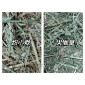 (店+)跳跳精選優質牧草 果園草 甜小麥 澳洲甜小麥 天竺鼠/兔/龍貓/倉鼠/黃金鼠/小動物牧草 1kg