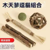 【台灣🔥熱銷】寵物用品 毛孩子 貓咪玩具磨牙棒｜木天蓼與貓薄荷球組合｜專為幼貓設計的逗貓棒｜耐咬材質讓貓咪自嗨解悶