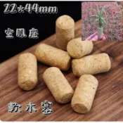 (柯比植物) 空鳳座 軟木塞  紅酒軟木塞 密封塞 DIY空氣鳳梨 葡萄酒軟木塞 空氣鳳梨