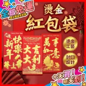 【蝦皮隔日到貨】燙金紅包袋 紅包袋 新年紅包 2026紅包 壓歲錢紅包 創意紅包袋 春節紅包 過年紅包 福袋 尾牙紅包
