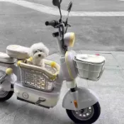 【24是熱賣】電動車寵物籃 寵物筐 車筐 收納筐 電動車狗狗座椅踏板寵物筐車上前置帶車筐自行車籃子貓咪外出神器