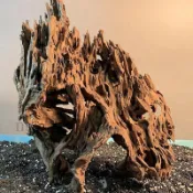 【特惠免運🌹】觀賞蝦躲避屋 多孔蝦木天然沉木蜂窩杜鵑根 幼魚繁殖窩 烏龜魚缸造景 水族箱造景 沉木造景 杜鵑根
