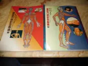 基礎穴道針灸指南(上˙下冊 16開大冊 銅版彩印) 編著黃明助-張豐榮 冠倫文化 2001