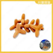 陶瓷消波塊造景 陶瓷培菌躲藏磚 魚缸造景裝飾 水族過濾培菌 空心躲藏屋 24H出貨 [HOOK水族]