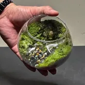 溪澗之鶴  / 主題性客製化造景生態缸