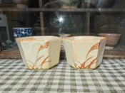 古瓷堂日本回流瓷器 日本回流志野六方杯一對 赤志野繪志野茶杯酒杯 厚流釉蟲洞密集手繪蘆葦 養生水杯健康茶器 中古茶具日本陶藝