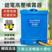 鼎盛貿易行 電動噴霧器農用背負式充電自動果樹輕便打藥機農藥高壓鋰電池噴壺