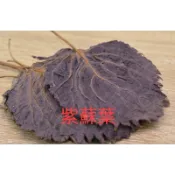 ［福益養生漢方］紫蘇葉 乾燥 整片完整 紫蘇梅可參考 梅子
