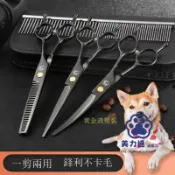 美力達旗艦店 寵物美容｜免運/公司貨｜寵物美容剪刀｜狗狗剪毛工具套裝專業修毛剪狗毛彎剪子泰迪理發神器｜｜MLD6812