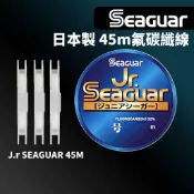 【獵漁人】Seaguar Jr. SEAGUAR 日本製氣碳纖線 前導線 子線  卡夢線 釣魚線