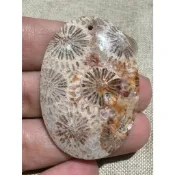 《菊花玉墜子》240807-06 總統石 心臟石 血絲碧玉 台灣藍寶 鳳凰碧玉 | 後山帝星石業