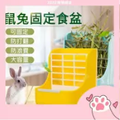 【JOJO寵物】二合一固定兔食盆 兔子專用 飼料牧草分開放 兔碗 天竺鼠碗 龍貓碗 飼料碗 牧草盒 鼠兔食盆 鼠兔用品