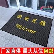 【台灣現貨】地墊進門門口吸水防塵腳墊防水墊子蹭土除塵地毯迎賓行業概況門墊