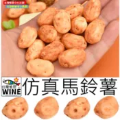 WINE台灣惟恩 微景觀 仿真馬鈴薯 馬鈴薯 土豆 農作物 植物 園藝 室內佈置