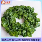🌾仿真花 綠蘿葉藤條 仿真綠植常春藤 葡萄葉 西瓜葉藤條 人造常春藤葉 植物藤蔓懸掛假樹葉 婚禮牆壁綠色裝飾花 仿真