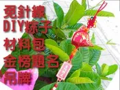 【免針線】吊牌粽子香包_中國結粽子DIY材料包_學生教學活動【鹿府文創 FD0105】