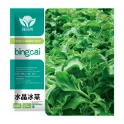 8H出貨🥬【水晶冰菜種子】約1000粒 多次采收 四季農家庭院盆栽田園蔬菜種子 非洲冰草菜種籽 可越冬高產蔬菜Seed