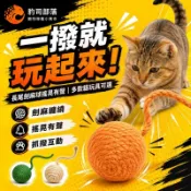 朝皓 貓玩具 劍麻球 耐咬磨牙 發聲逗貓球 貓抓球 寵物玩具 貓咪玩具 逗貓棒 貓薄荷玩具 貓抓板玩具 貓咪磨爪玩具