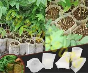 植生袋 美植袋 不織布育苗袋 植樹袋 植花袋 種植袋