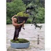 🔥大促🔥武術功夫小和尚石灣陶瓷盆景花盆落地裝飾人物擺飾園林園藝裝飾品 特惠Z