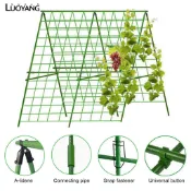 洛陽牡丹 爬藤杆爬藤支架種菜架子黃瓜豆角蔬菜月季花架包塑鋼管支撐樁