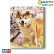 (店+)【Manto】櫻見柴柴-台灣製DIY數字油畫|超取專用大小