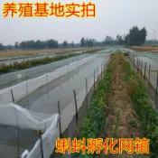 協貿國際日用品生活2館 80目網箱網片防逃網漁網養殖網水蛭龍蝦 黃鱔 網箱魚苗幼苗孵化