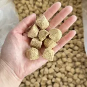 豐年蝦塊凍幹七彩神仙孔雀鸚鵡通用型魚食散裝小型熱帶魚專用飼料