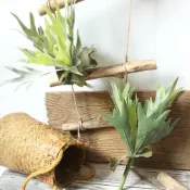 人造植絨多肉植物假鹿角蕨類植物鸚鵡草葉人造綠色盆栽