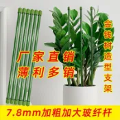 【臺灣熱賣】金錢樹蝴蝶蘭支架蔬菜瓜果爬藤植物立柱撐杆園藝盆栽花卉固定架子《優選》【NY】