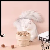 BCAT 盒子裡的貓 🐈 現貨.ᐟ.ᐟ 甜筒寵物碗 陶瓷寵物碗 冰淇淋高腳碗 貓碗狗碗 保護頸椎防打翻 冰淇淋碗