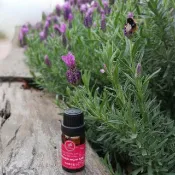 高地真正薰衣草純精油10ml 100%天然 精油入門首選