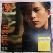 橘子貓黑膠唱片 潘美辰 是你