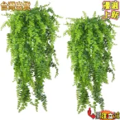 💥限時特賣💥亞馬遜仿真壁掛 波斯草藤條 人造懸掛蕨類植物藤蔓懸掛 綠色植物