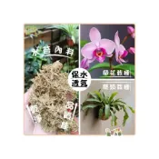 (店+)【蔬菜之家】智利水苔水草、5A水苔-1公斤、3公斤、5公斤3種包裝可選  蘭花 鹿角蕨 植生板 苔蘚(蘭花 鹿角蕨 植生板)