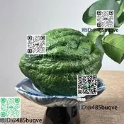 香櫞果底座專用陶瓷高腳果盤青花家用花邊中式覆古香櫞托盤擺