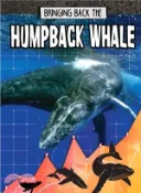 【三民網路書店】Bringing Back the Humpback Whale 作者：Paula Smith