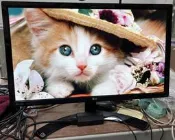 LG 22MP58VQ 22吋 FHD LED HDMI 液晶顯示器 液晶螢幕