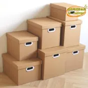 【台灣現貨】家用搬屋紙質收納箱空紙箱有蓋放書文件檔案資料儲存箱收集箱紙盒