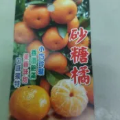 柑橘嫁接苗蝦取宅配 碰柑帝王柑茂谷柑砂糖橘黃金砂糖橘雞蛋柳丁紅肉甜丁無籽柳丁日本甜桔
