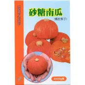【萌田種子~】K49 砂糖南瓜種子1 粒 栗子南瓜 甜度高~