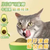 現貨 貓薄荷球 去毛球 貓草球 木天蓼球 蟲癭果 貓草玩具 逗貓玩具 貓咪潔牙 磨牙 有助排毛化毛 貓零食 貓糖 貓用品