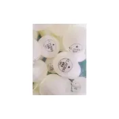 (店+)克拉克 CRACK 一星 40＋ 塑料練習球 桌球 144顆