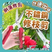 🍃 不鏽鋼修枝剪｜園藝剪刀 剪定鋏 花藝剪刀 樹枝剪 粗枝剪 花剪 檳榔剪刀 果樹剪 農用剪刀
